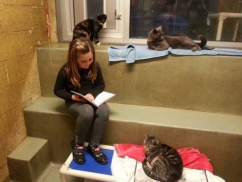 leitura para animais em abrigo