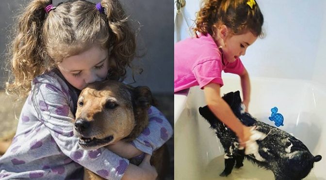 Uma menina de 5 anos que cuida de animais