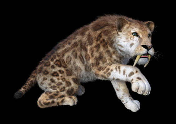 animais extintos - tigre de dente de sabre